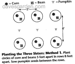 Maybe you would like to learn more about one of these? Vegetable Gardening Planting The Three Sisters 1 By Tamarafaye