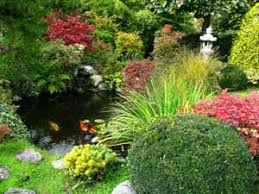 Alternatively a snake could make a home for itself in amongst the leaves. How To Get Rid Of Snakes From Garden Boldsky Com
