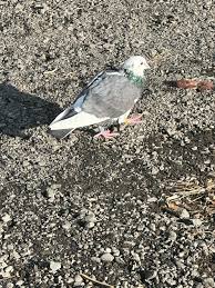 Kimberly, Idaho News & Info