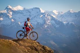 Titanium mountain bike brands can also come with specialized frames which only. Best Mountain Bike Brands Incl Mountain Bikes For Sale Bike Chaser News