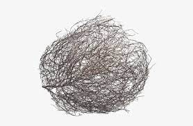 Grab your pen and paper and follow along as i guide you through these step by step drawing instructions. Tumbleweedlayers Tumbleweed Drawing 600x600 Png Download Pngkit