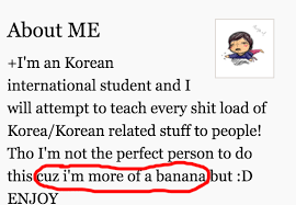 Here are 2 possible meanings. Korean For Dummies For A Korean Native You Keep Up Very Well With
