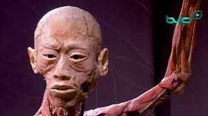 Tickets real bodies is geopend van woensdag tot en met zondag telkens van 10 tot 18 uur (laatste toegang om 17 uur) en werkt met een beperkte capaciteit per uur. Expo Real Bodies Opent Voor Een Ethousiast Publiek Youtube