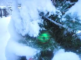 Novogodnij Super Tur Vstrecha Novogo 2021 Goda Na Kamchatke Turisticheskaya Kompaniya Briz