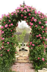 Arbor Leading To Rose Garden Room With Fountain And I D Add Seating And Lots More Fragrant Plants Climbing Roses Trellis Beautiful Gardens Climbing Roses
