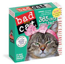 History of national cat day lifestyle writer colleen paige has taken credit for establishing national cat day in 2005. Bad Cat 2021 Calendar Workman Calendars Amazon De Bucher