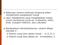 Hampir semua proses biologis sel memerlukan enzim agar dapat berlangsung dengan cukup cepat. Vitamin Dan Mineral Vitamin Dan Mineral Mempunyai Fungsi Utama Yang Sangat Penting Dalam Reaksi Metabolisme Kofaktor Kofaktor Adalah Substansi Non Ppt Download