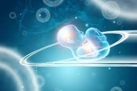 Cost of In Vitro Fertilization in Florida 2025 - Panama Fertility