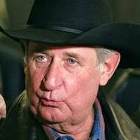 40+ "Hertz" profiles