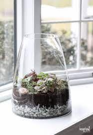 If you are looking for a family bonding activity that you can do at home, building your own terrarium may be a good option. How To Make A Terrarium Step By Step Tutorial
