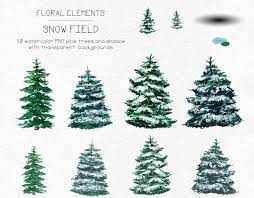 Watercolor Winter Pine Treeschristmas Clipart Conifers Etsy Clip Art Fall Watercolor Watercolor