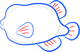 Our pictures for sketching are accompanied by interesting stories and useful tips. How Easy To Draw A Funny Fish Step By Step Drawings Easy To Draw Everything