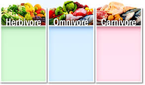 Carnivores have a set of teeth that are very different from herbivores'. Game
