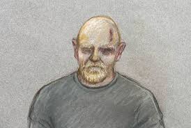 The serving metropolitan police officer. Met Police Officer Wayne Couzens Pleads Guilty To Kidnap And Rape Of Sarah Everard Daily Star