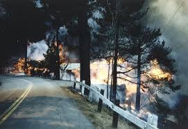 Image result for Radiant Fire 1991 Shadow