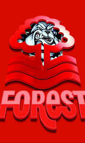 Thanks badge (gsusa) and thanks badge ii used by the gsusa. Nottingham Forest Wallpapers Top Free Nottingham Forest Backgrounds Wallpaperaccess