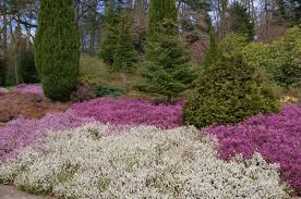 Image result for Erica