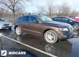 Image result for Teak Brown 2014 AQ