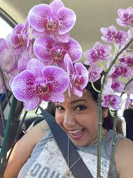 Beautiful flower bed with gaillardia and ceratostigma