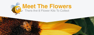 We did not find results for: Meet The Little Garden Flowers Checkers Za