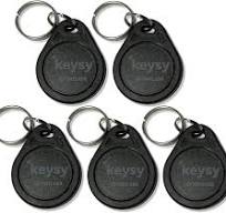 Amazon.com: Keysy Rewritable RFID Key Fobs (5-Pack, Black ...
