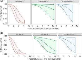 Image result for Sporobolus natalensis