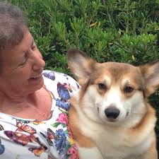 Fundraiser by Dona Straway : Help Dona pay uncovered medical bills