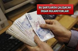 Yeni zelanda dolarının para birimi kodu bazen yeni zelanda doları yerine 'kiwi' ve 'buck' sözcükleri ile de söylenir. Yeni Zellanda Da 400 Bin Dolara Calisacak Doktor Bulunmuyor