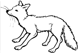 Alle ausmalbilder fuchs malvorlage kostenlos. Malvorlagen Fuchs Coloring And Malvorlagan