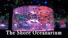 The Shore Oceanarium Malacca Malaysia【Full Tour in 4k】 - YouTube