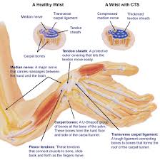 Pin On Health