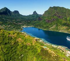 Image result for Mohria