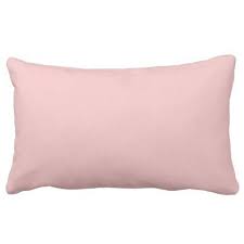 Baby Pink Outdoor Lumbar Pillow Zazzle Com Light Pink Pillows Blush Throw Pillow Blush Pillows