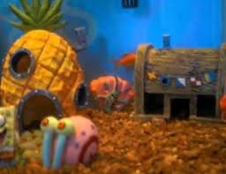 However, fish tanks need to be maintained in order to stay healthy and keep looking good. 5 Aquarium Theme Available To Complete Your Fish Tank Decorations Ideas It S Looks Like This