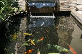 10 Ide Desain Kolam Ikan Minimalis Di Rumah Bukareview