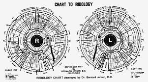 27 Memorable Iridology Chart Male
