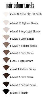 Hair Color Level Chart Lusual Com