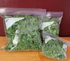 3 Ways To Freeze Kale Ahead Of Time Freezing Kale Kale Smoothie Kale Recipes