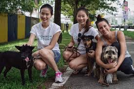 The rescued dogs are up for. Help These 6 M Sian Ngos Create A Better Life For Abused Animals
