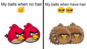 Just take your time, and keep your hands calm. So You Shave Your Balls Pretty Cringe Bro R Okbuddyretard Okbuddyretard Know Your Meme