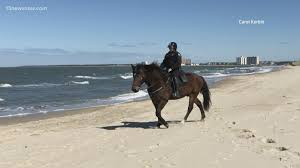 Hour by hour weather updates and local hourly weather forecasts for virginia beach, virginia including, temperature, precipitation, dew point, humidity and wind. Virginia Beach Police Handed Out 2 Summonses During Stay At Home Order 13newsnow Com