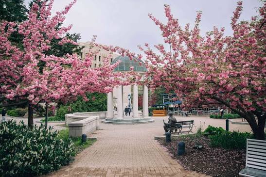 Student life at the University of Washington
