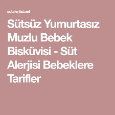 cnkz adli kullanicinin ek gida susleme sanati panosundaki pin mama tarifleri bebek yemek tarifleri ev yapimi mamalar