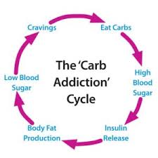 Four Signs You Are Fat Adapted On The Ketogenic Diet