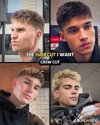 7 zach hare ideas to save today