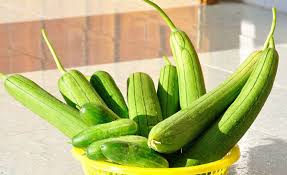 Vitamin và Khoáng Chất