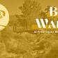 Bird Walks at Prime Desert Woodland Preserve
