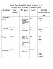 Check spelling or type a new query. Amoeba Sisters Biomolecules Worksheet