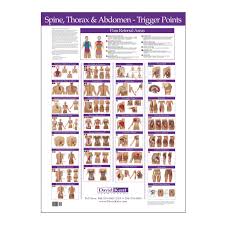 Trigger Point Chart Spine Thorax And Abdomen
