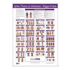 trigger point chart spine thorax and abdomen